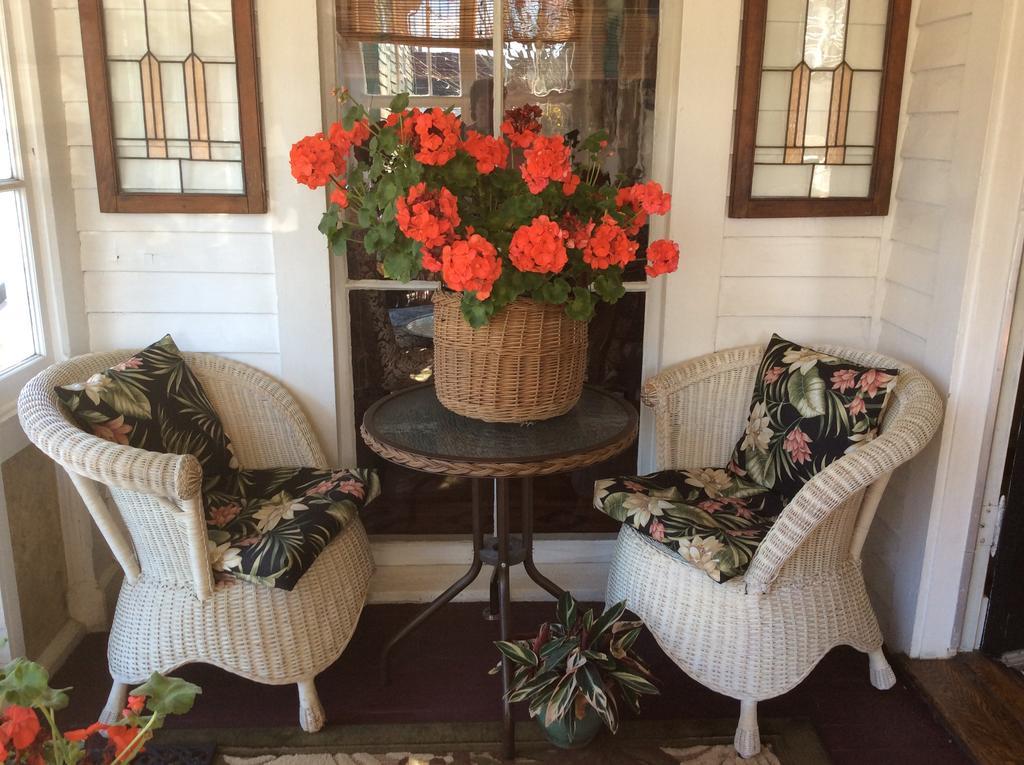 Fair Street Guest House Torre di Torre di Newport Esterno foto
